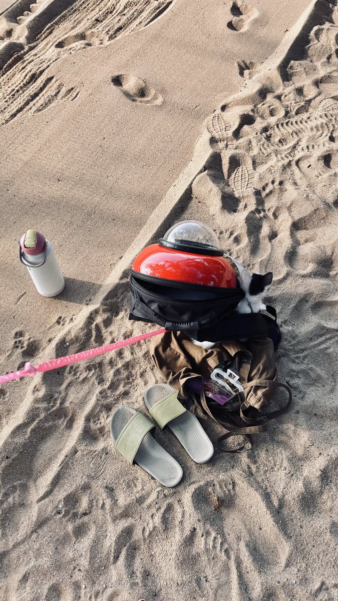 elraxga's tweet photo. ngajak anak lanang ke pantai🌞🌊 https://t.co/GF8if60z5K