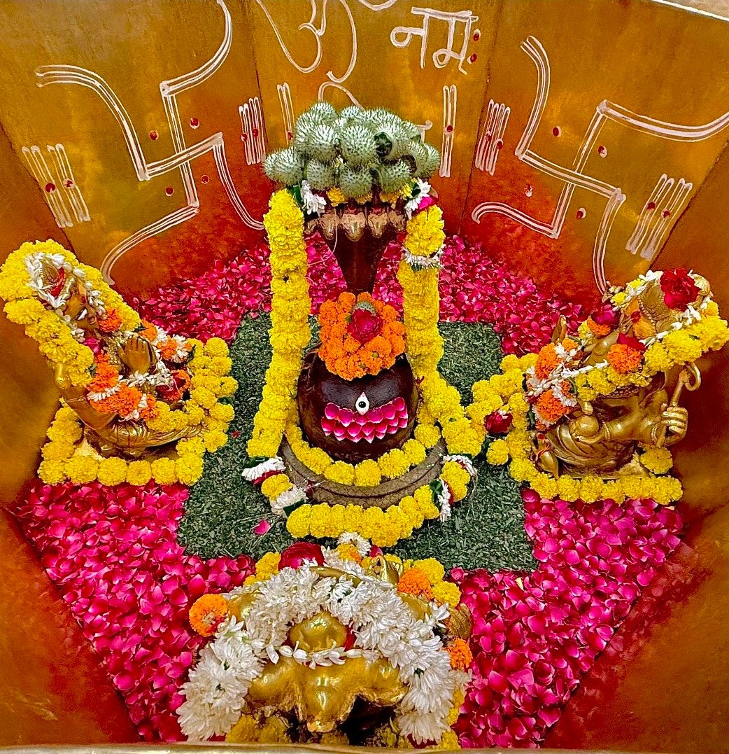 whitesoucepasta's tweet image. 🌸||हर हर महादेव||🌸