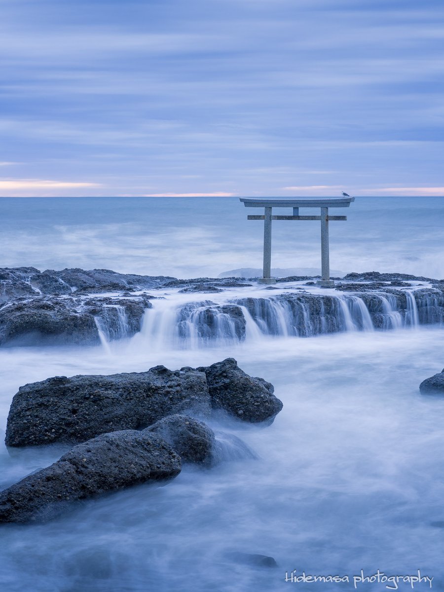 Hi_DesignFocus's tweet image. 神磯の鳥居
大洗磯前神社

[2025.9.27]

カモメさん付き

#神磯の鳥居 
#大洗磯前神社