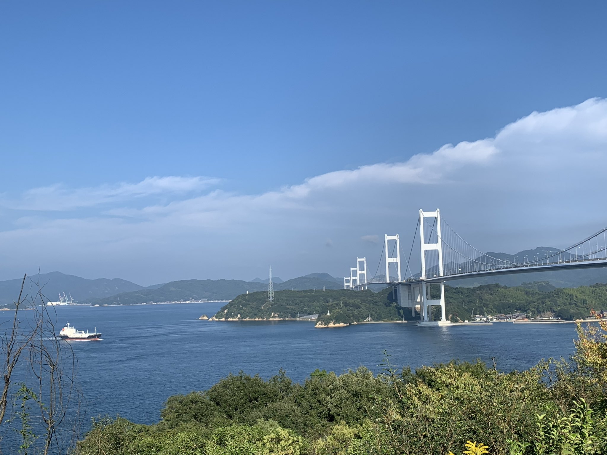 ひだまり (@MrHIDAMARI) / X