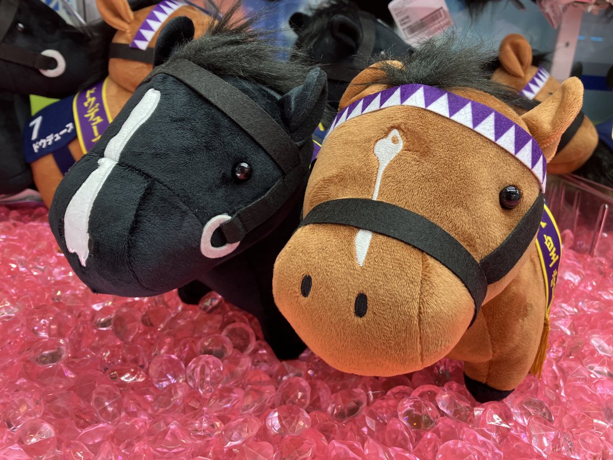 タイステ 錦糸町楽天地店 on X