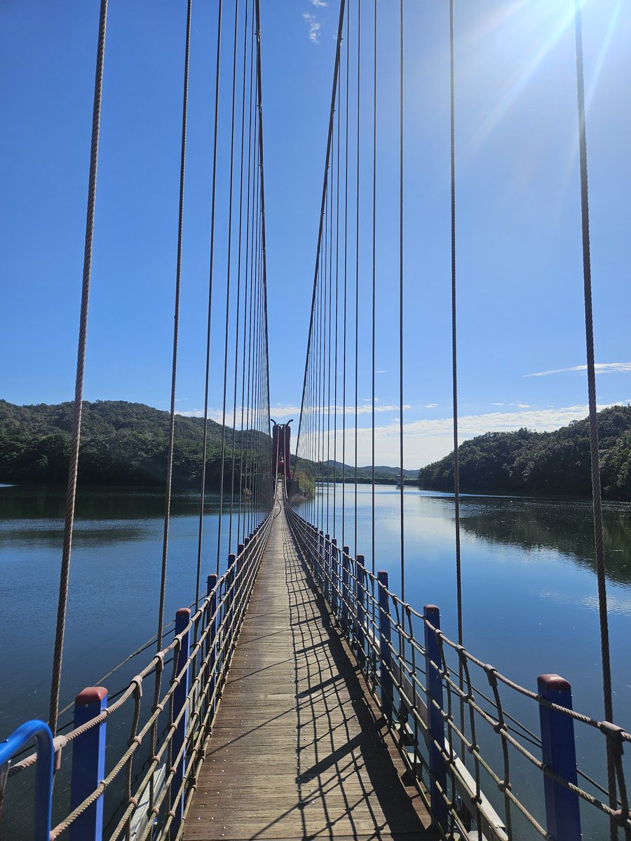 천장호는 작구나