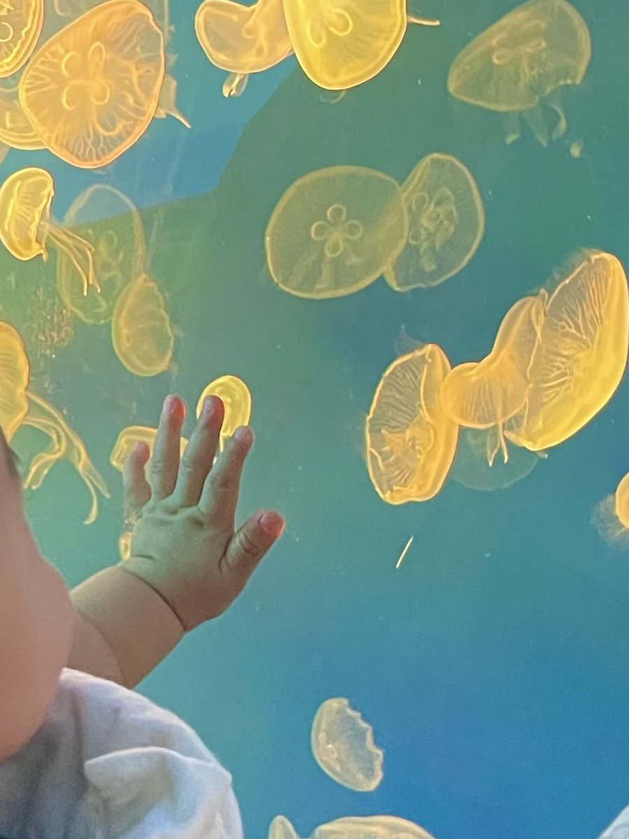 FRoad_N's tweet image. 요즘 이모저모♡
내 일상과 사진은 귀염둥이로 가득👼🏻
학연이 요즘 일상은 어떠려나👀
@CHA_NNNNN