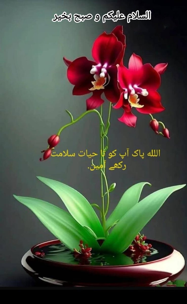 ❀﷽❀  
*السَّلاَمُ عَلَيْكُمُ وَرَحْمَةُ اللّهِ وَبَرَكَاتُه*

*صبح☕بــخیـر*
راستے بنانا اللهﷻ کا کام💐 ہے_
تم بس دعا کرتے رہو اور اللهﷻ پر یقین رکھو تمہاری دعائیں جلد قبول ہوں گی.
بیشک
دعا ہے رب سے کہ وہ آپ سب کو ہمیشہ آسانیاں کامیابیاں اور خوشیاں نصیب فرمائے آمین