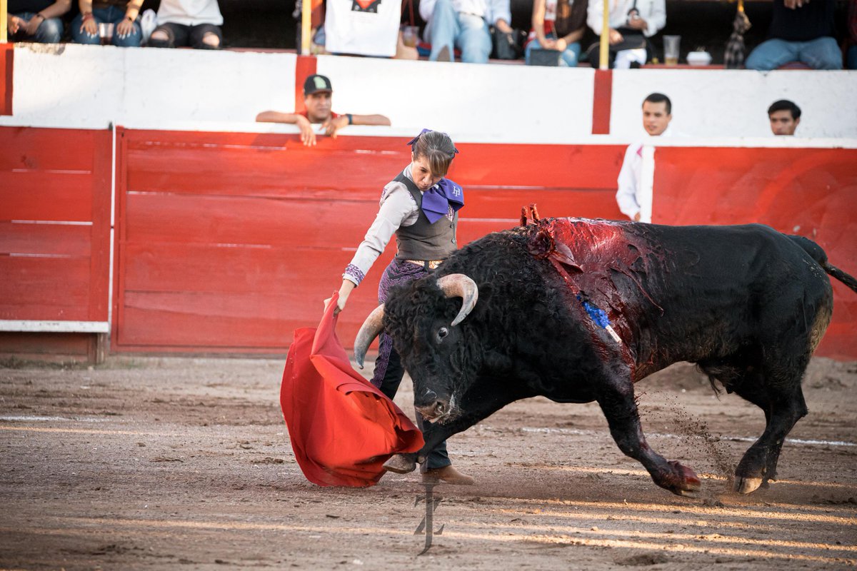 Un toro de Torreón de Cañas.
Michoacán es Taurino... En Guanajuato.