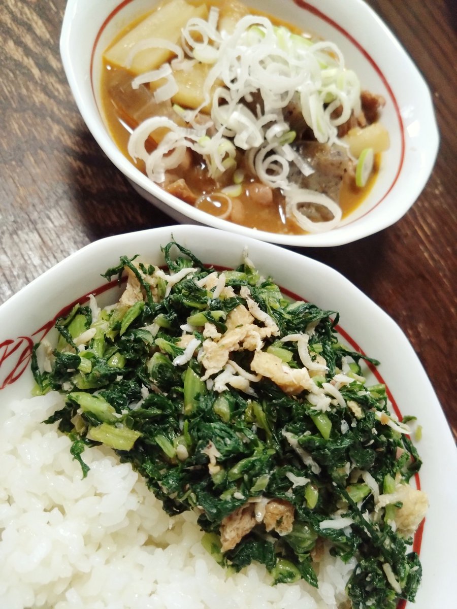 本日のお昼は #サイボク づくし🥳
酪農ひろばとミートショップで買った、大根ごぼうねぎにんにく生姜こんにゃくが入ってるもつ煮！(うちは並モツ味噌ベース)
＆葉大根のふりかけごはん🍚
 #ことりバザール が終わっても、まだまだ冷蔵庫にお楽しみがあって嬉しい