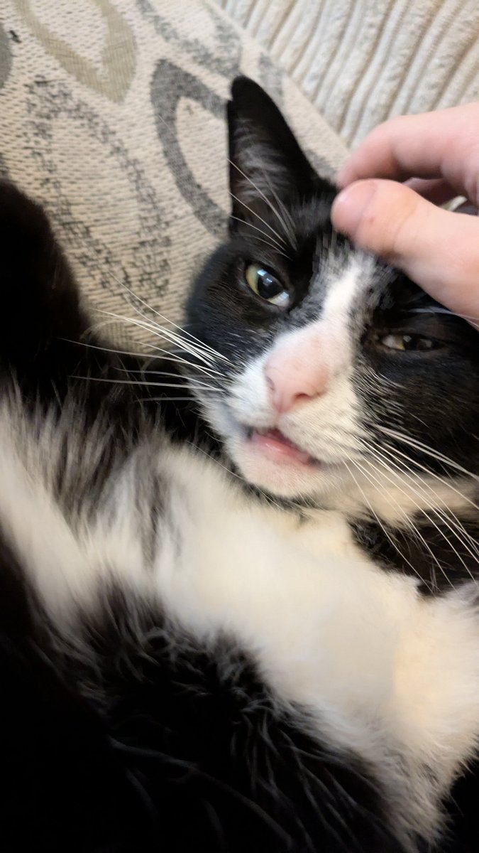 Look at this creature, she's never had a single thought her whole life