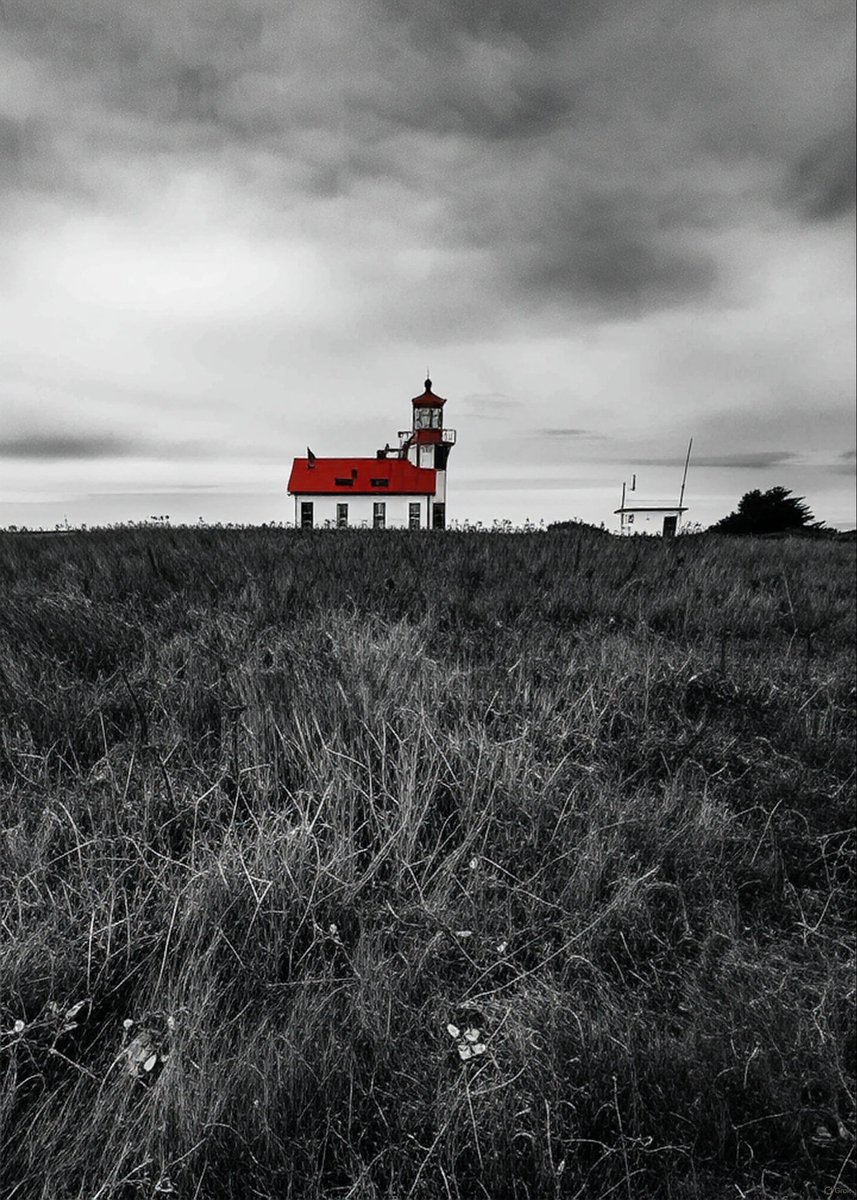 Sean Z. Paxton tweet media