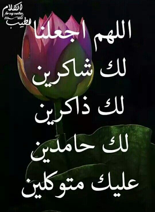 🌷غيمة tweet media