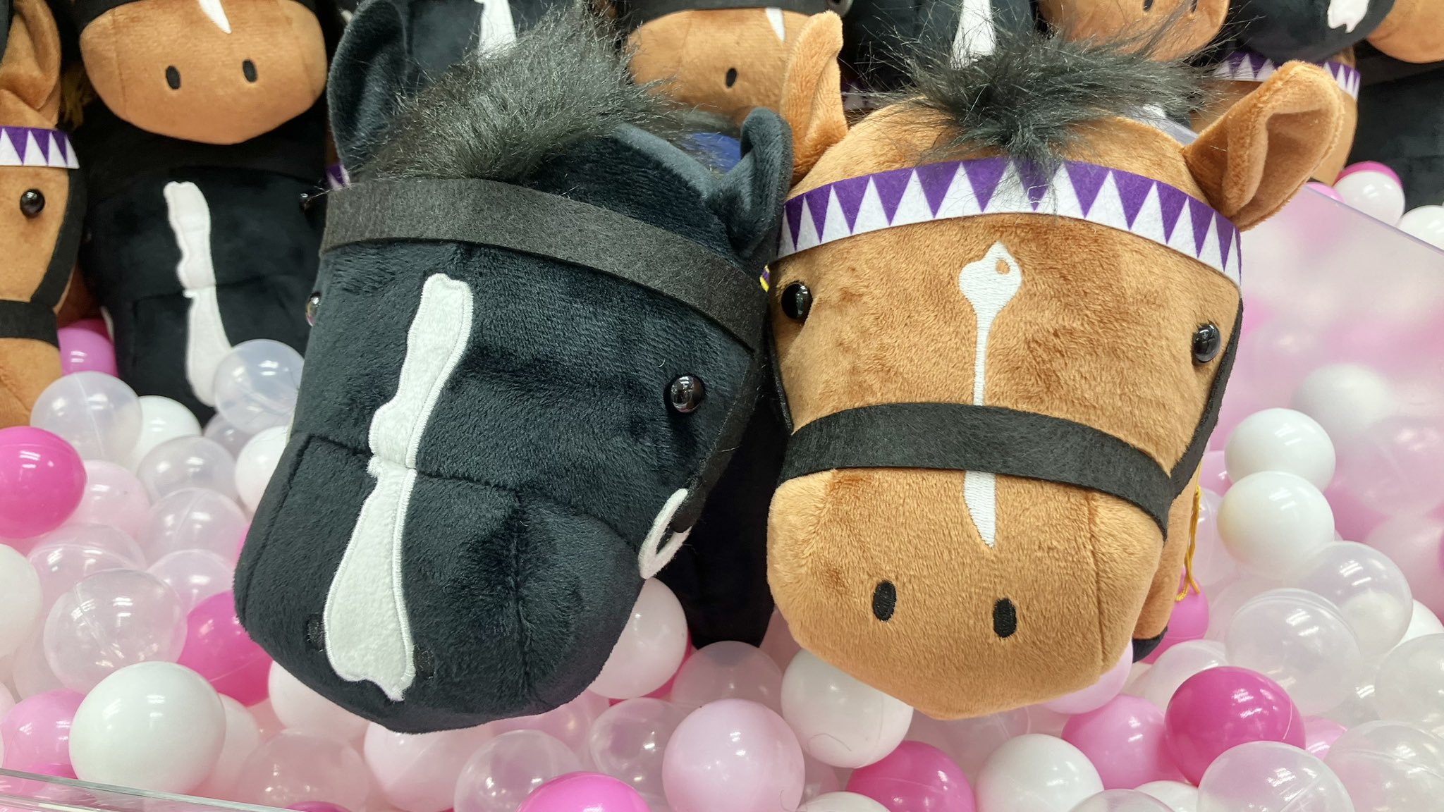 ぬいぐるみ Th タイステ衣山店 on X: 