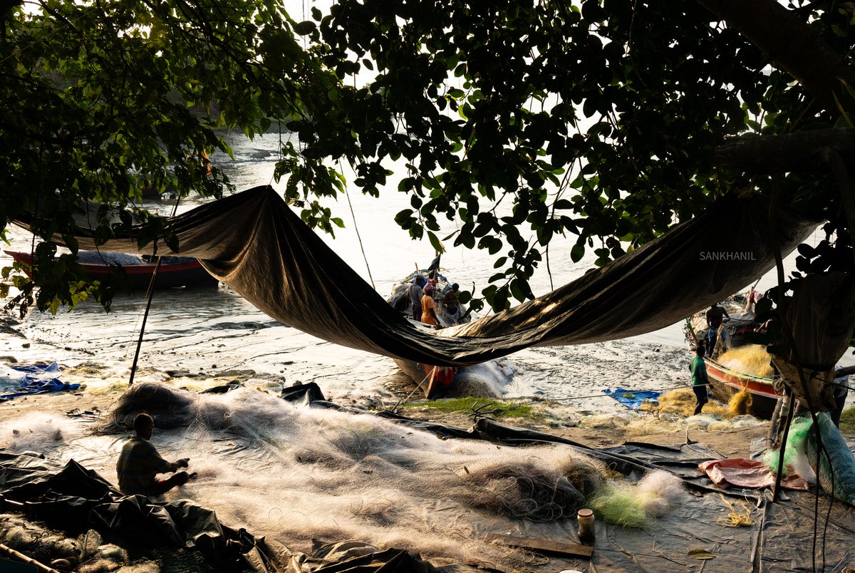 SankhanilDhara's tweet photo. Every net they repaired was a promise, a hope that the river, ever generous and ever wild, would bless them once more with its bounty. 
#lifebytheriver #documentaryphotographer #photography #fishermen #everydayindia #natgeoyourshot #streetsofindia  #streetphotography #streetlife https://t.co/NuWz0OkP0L