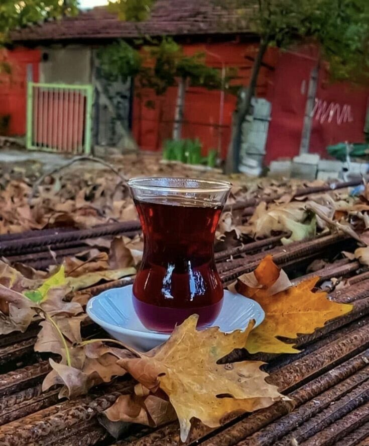 Hayatı güzelleştiren insanların güzelliğidir. Kimi emek ve çaba harcayarak birşeyler yapmak ister. Kimininse varlığı en büyük güzelliktir. Günaydın canlar🌷💜
#Günaydın