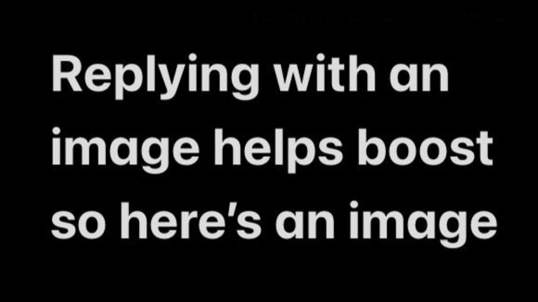 (Helping with engagement), (Helping with engagement),(Helping with engagement), (Helping with engagement). 

Please help by sharing/RT or donating:
