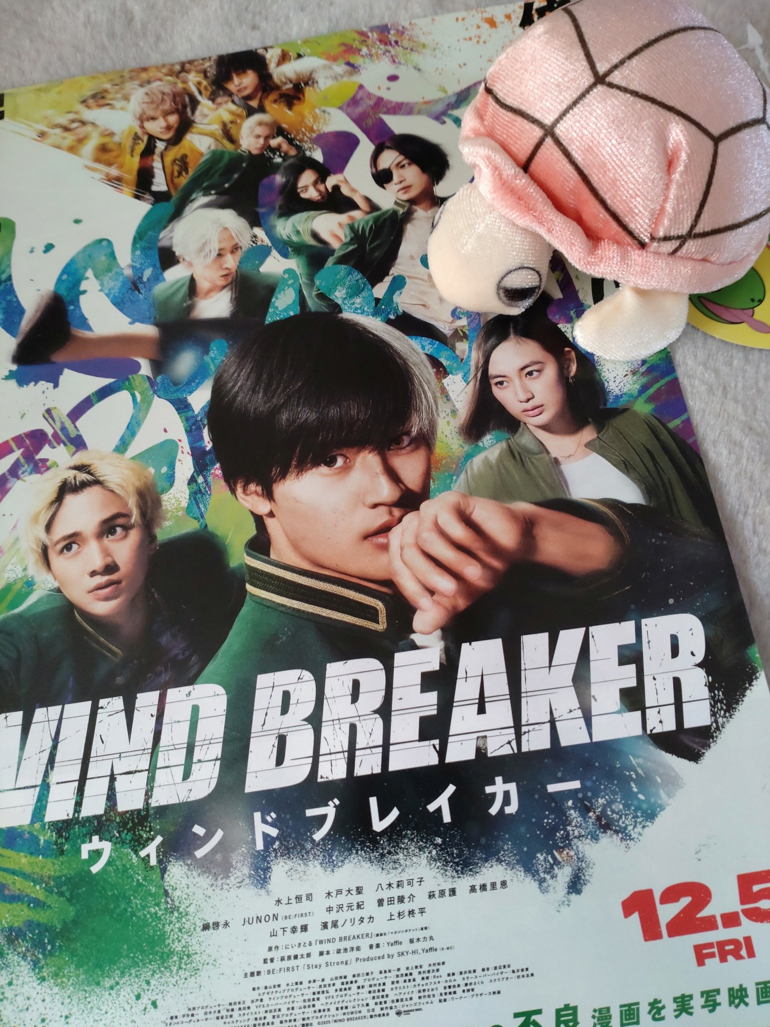 太陽がいっぱい フライヤー 太陽がいっぱい フライヤー