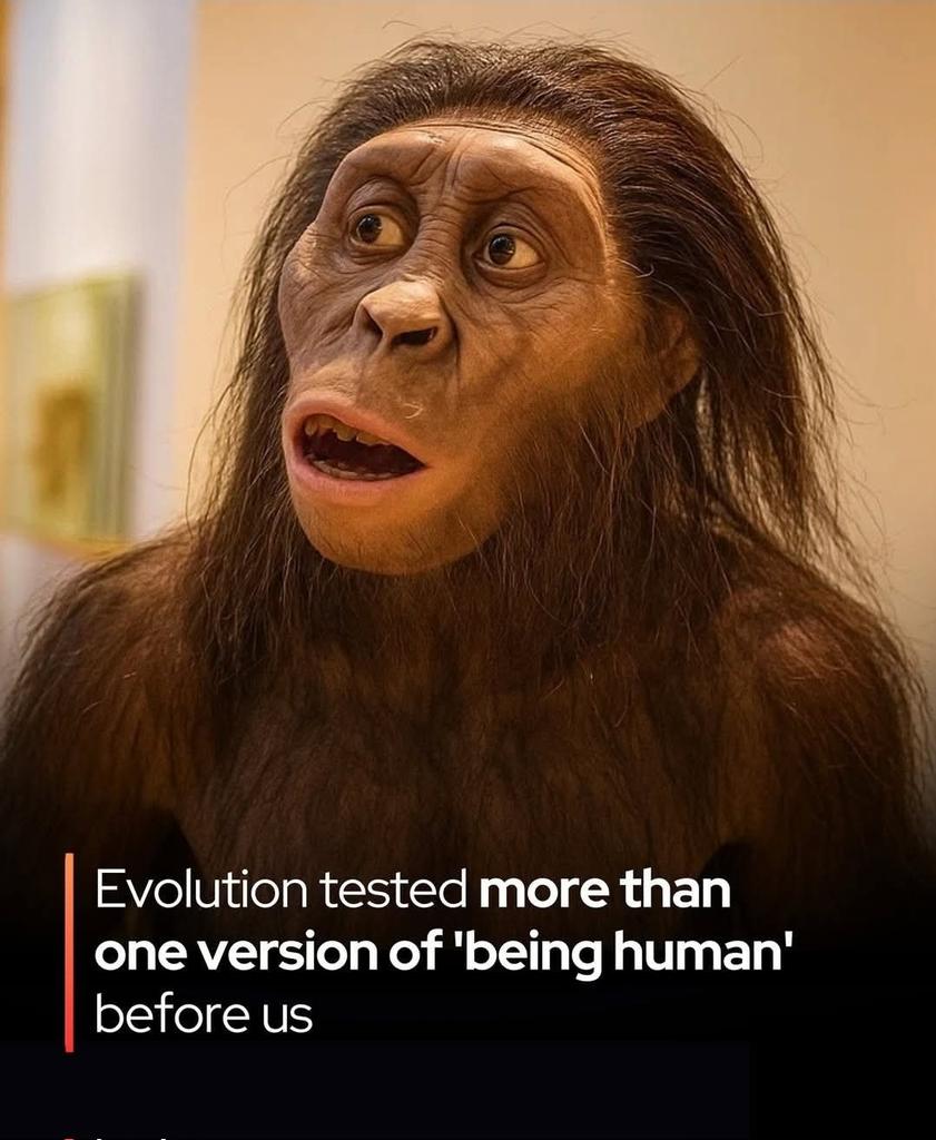 ShiningScience's tweet photo. 🧬 A newly discovered human species confirms it — our evolution wasn’t a straight line.

The remarkable discovery in Ethiopia is rewriting the story of human evolution. 

Fossils unearthed at the Ledi-Geraru site in the Afar region reveal a previously unknown species of Australopithecus that lived about 2.8 million years ago — at the same time and in the same area as some of the earliest known members of the genus Homo. 

The find, which includes 13 fossilized teeth from at least two individuals, shows distinct differences between the Australopithecus specimens and those of early humans, confirming that multiple hominin species coexisted rather than one simply evolving into the next.

This new evidence challenges the traditional “ladder” model of evolution and supports a more complex, branching view — a family tree full of overlapping species, each experimenting with different adaptations to East Africa’s shifting climate. Researchers describe this period as an “evolutionary testing ground,” where several versions of early humans evolved side by side before only one lineage ultimately survived. The newly identified Australopithecus species has yet to be formally named, but its discovery underscores that our ancestry wasn’t a straight march toward modernity — it was a tangled, fascinating web of possibilities.

Source: “New discoveries of Australopithecus and Homo from Ledi-Geraru, Ethiopia.” Nature, 2025.