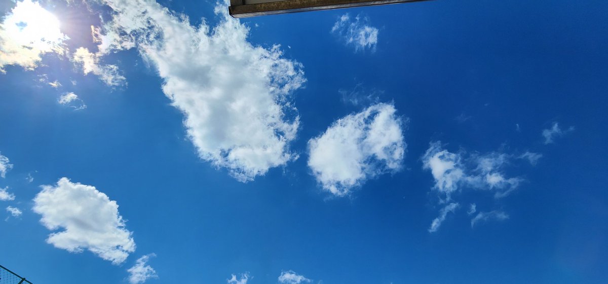 체육대회 날씨 대박이다...
(negative)
썬크림만 바르고 온 나... 
양 볼이 터질듯 빨개짐.
꼬꼬마들도 반쯤 익음;
어제까지만해도 비올까봐 전전긍긍했는데;
급식에 생오이와 쌈장이 추가배식 되어(영양샘의 센스!) 오이만 주구장창 퍼다 먹었다.
열이 몸 안에 축적된 거 같아;
두통이 오고 있다!