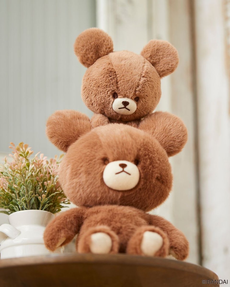 mocchiさまのページ セキグチ公式オンラインショップ on X