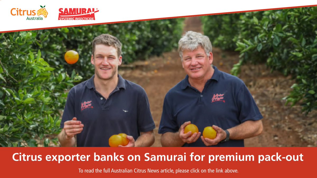 Real Results from the Field

After 10+ years using Samurai, Minter Magic reports 2–3 months of effective pest control and consistent results against key citrus pests like Fuller’s Rose Weevil and California Red Scale.

Read more: sumitomo-chem.com.au/sites/default/…