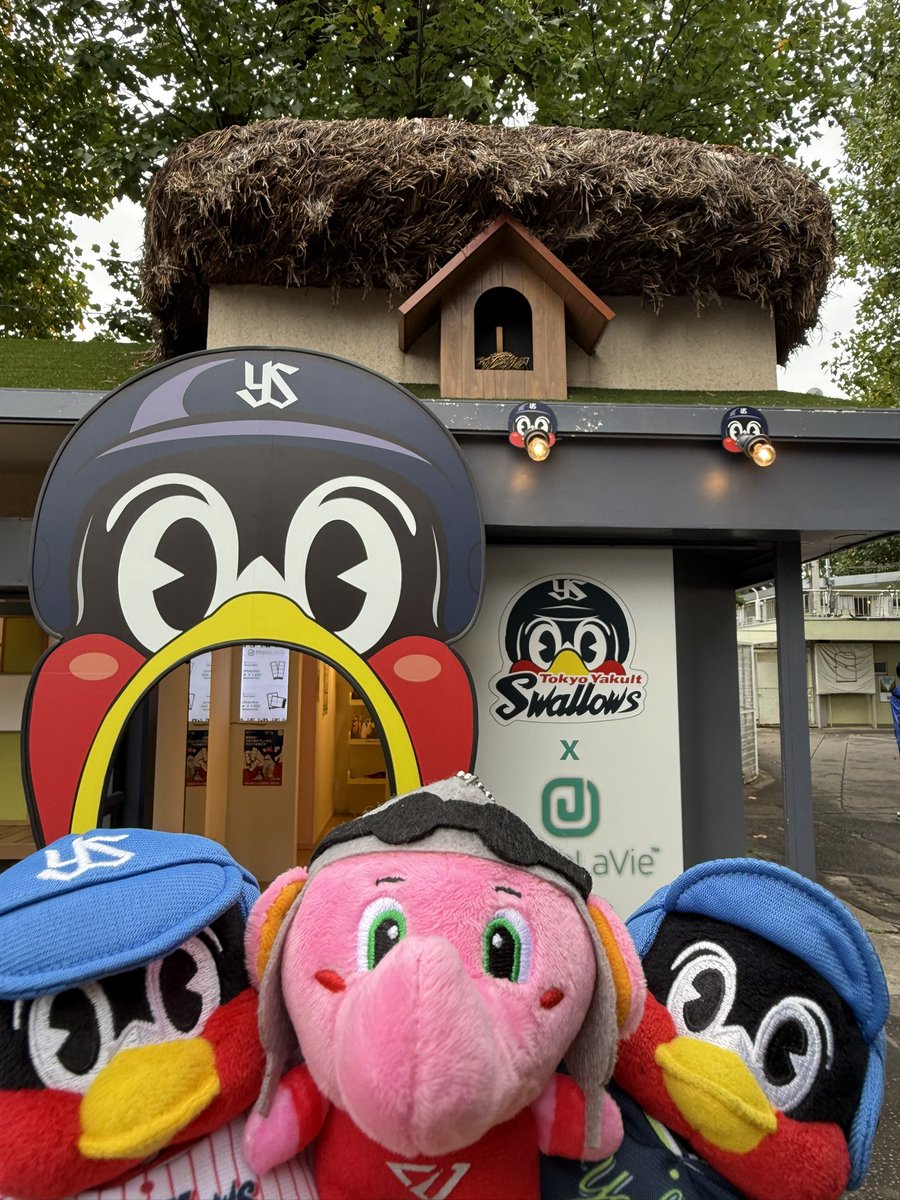 あんな tweet media