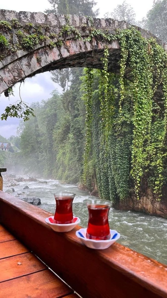 .......... 
Selamünaleyküm dostlarımm.🕊

#Hayırlı_Sabahlar☕

💃.........