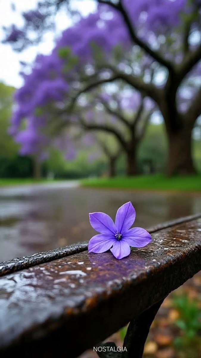 " اللهم إني أبرأ من حولي و قوتي إلى حولك و قوتك ، فإنه لا حول ولا قوة إلا بك ."🌸🤍