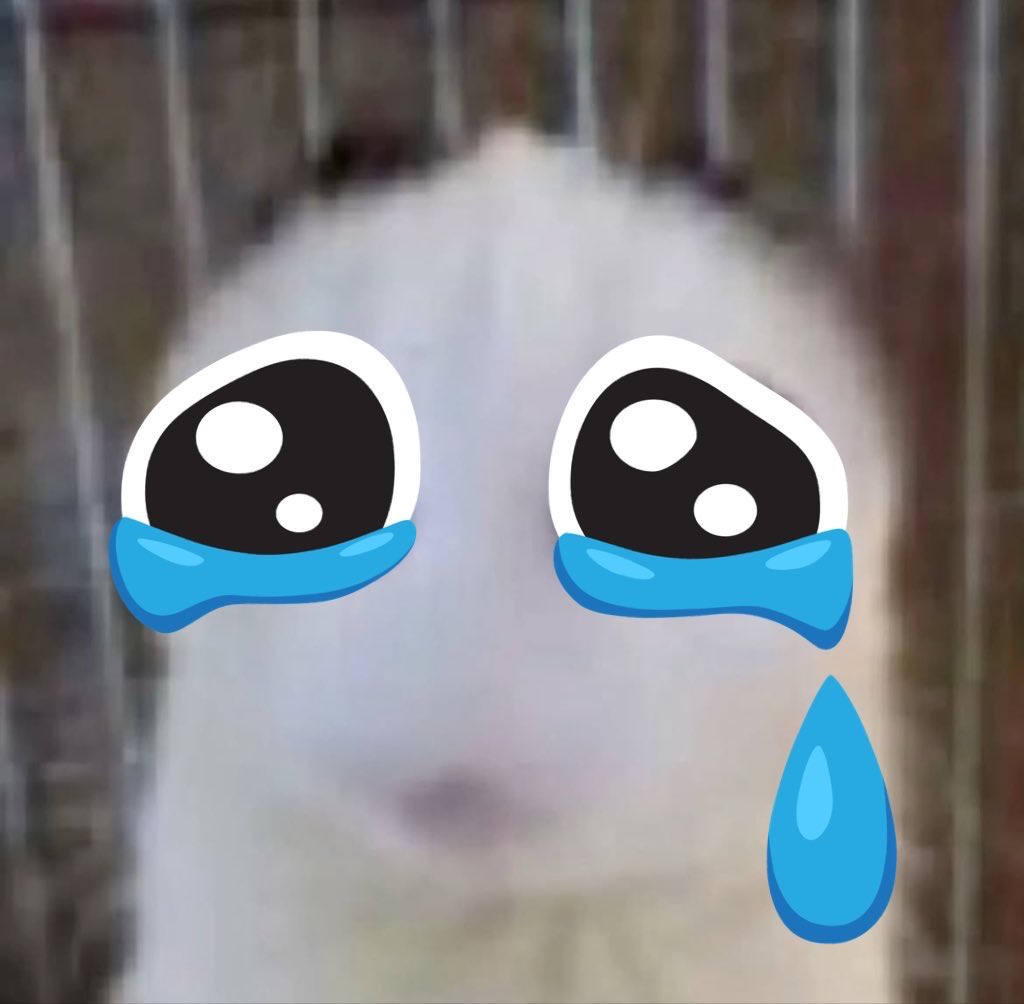 elliot ⊬ (@rexlottie) on Twitter photo 