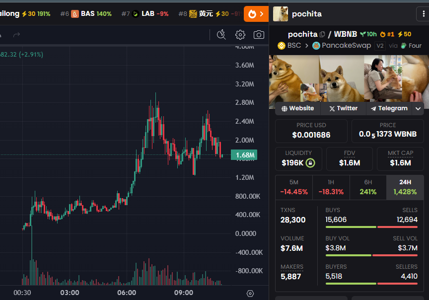 Are you happy with $POCHITA ?

Shared at $250K MC 
($3M ATH)

$5M incoming, eat the dip🔥🔥🔥

<a href="/pochita/">milagroa paredes</a>