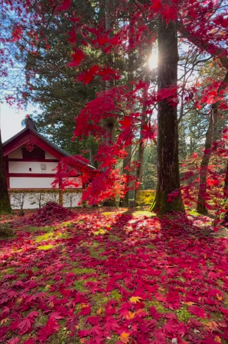 Good morning my lovely friends 💕 
Happy wednesday 😊