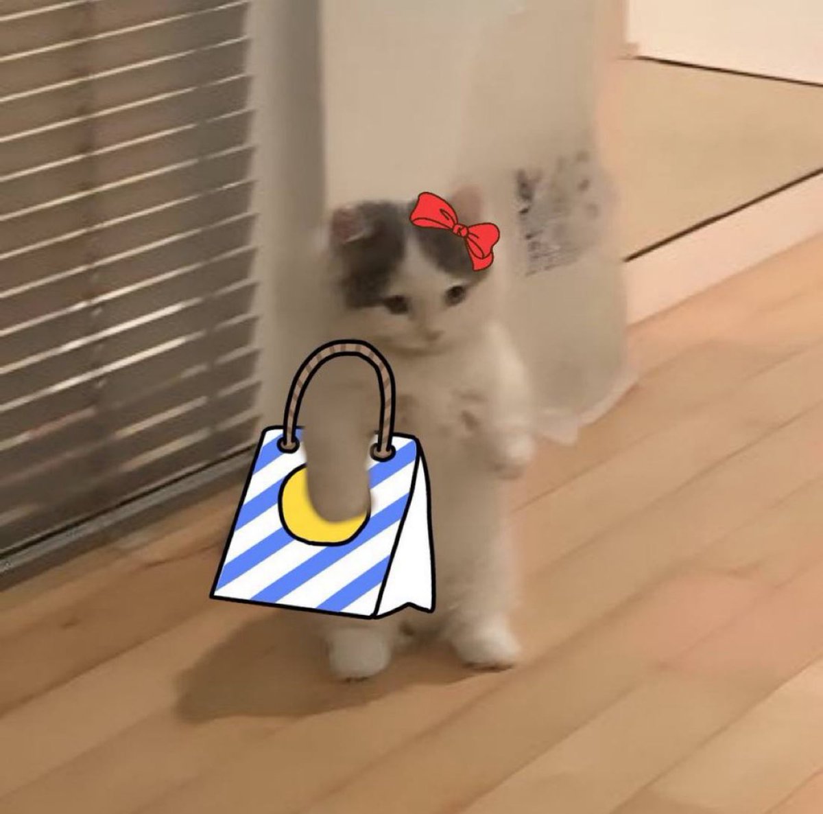 Me at 12:01am:

Gmichi