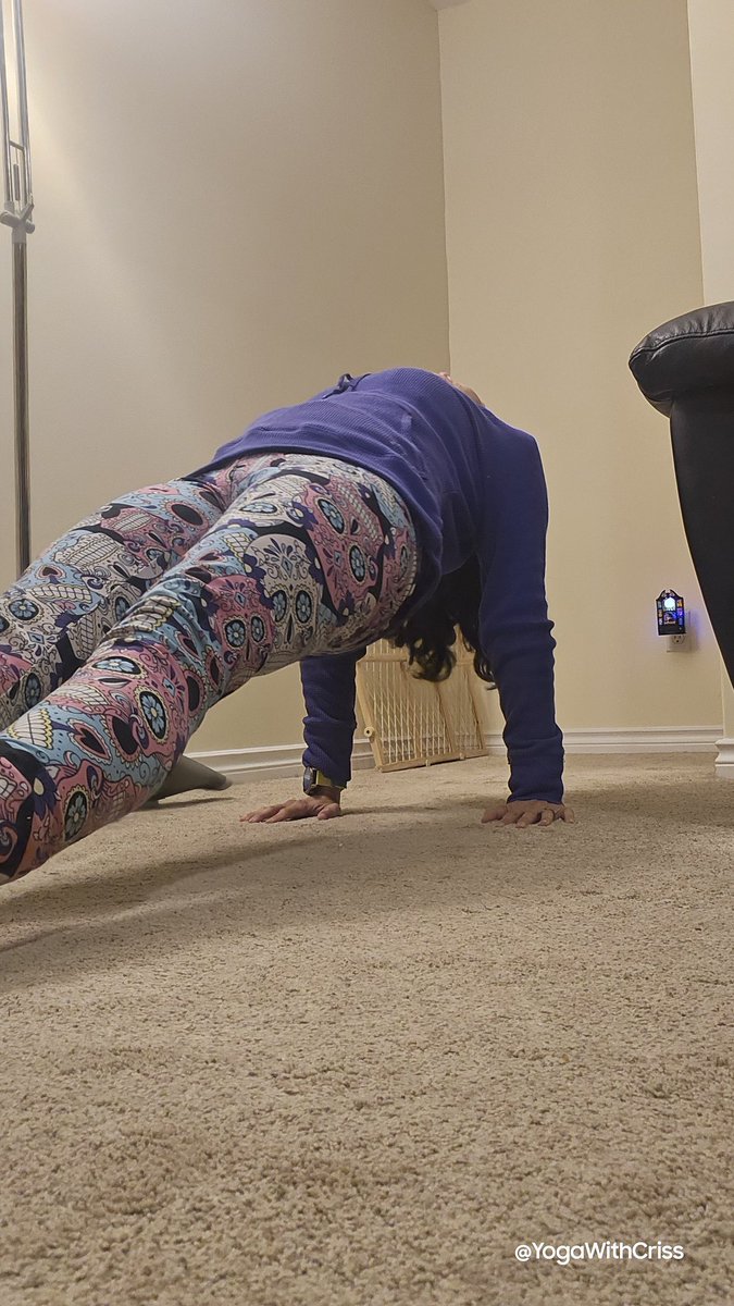 YogaWithCriss's tweet photo. Día 14 de #reverseplank challenge, 35 segundos... Apenitas. 😅
#BuenasNoches https://t.co/bMnkbaJXlW