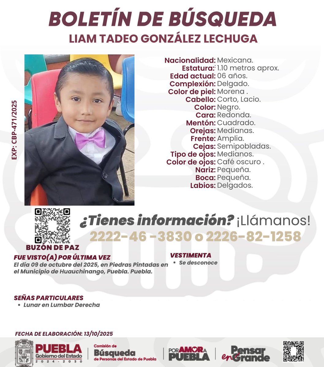 GalloDigitalMX's tweet photo. El @Gob_Puebla no baja la guardia.

Con apoyo de SEDENA, @GN_MEXICO_ y la @Busqueda_MX, se intensifica la localización de 7 personas desaparecidas tras las lluvias en la #SierraNorte.

La prioridad: encontrarles y acompañar a sus familias. 🤝🌧️
#FuerzaSierraNorte #PueblaSolidaria

https://t.co/i17vNTrVe7