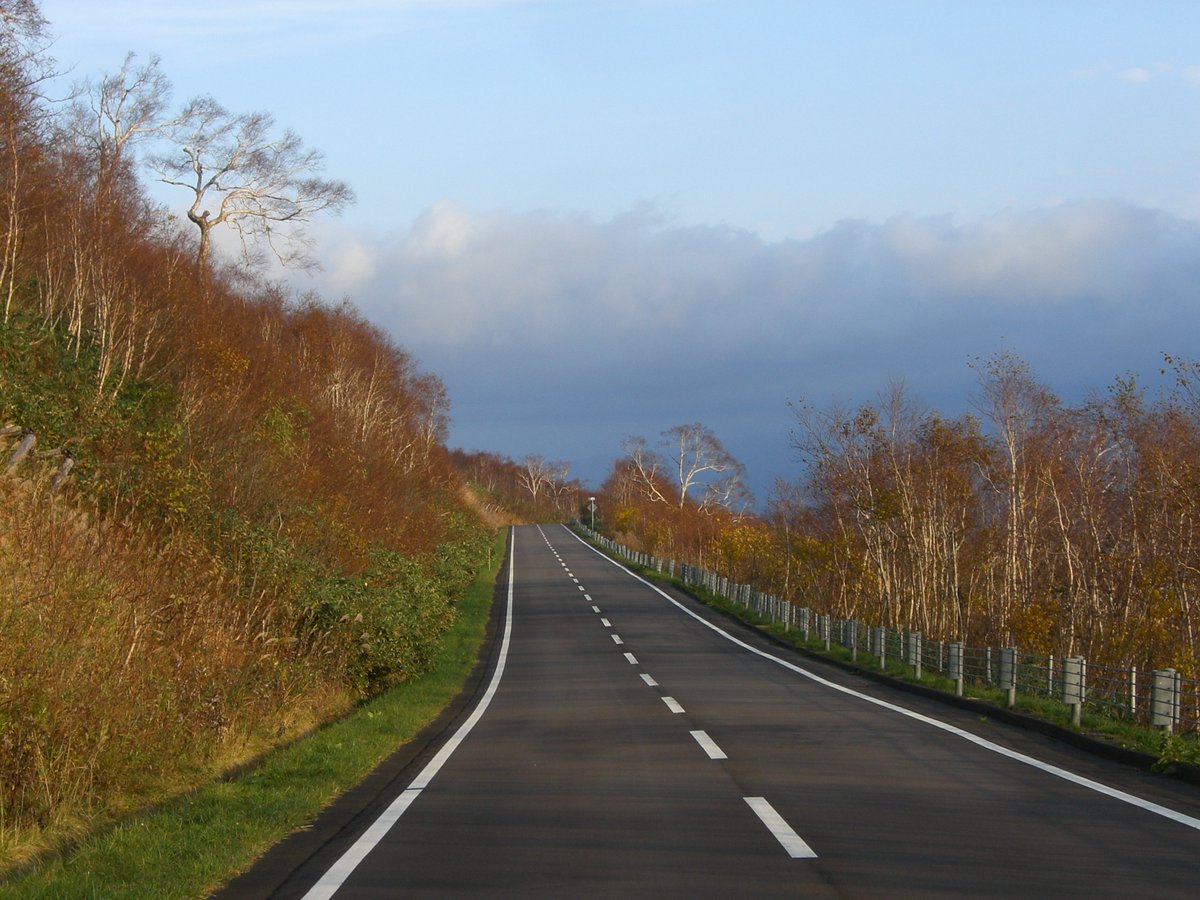 ■北海道、本州、四国、九州まで送料無料■２０１９年製　ダンロップ　EC202L　185/60R15　4本セット ダンロップ公式 ⁄ DUNLOP_JP on X