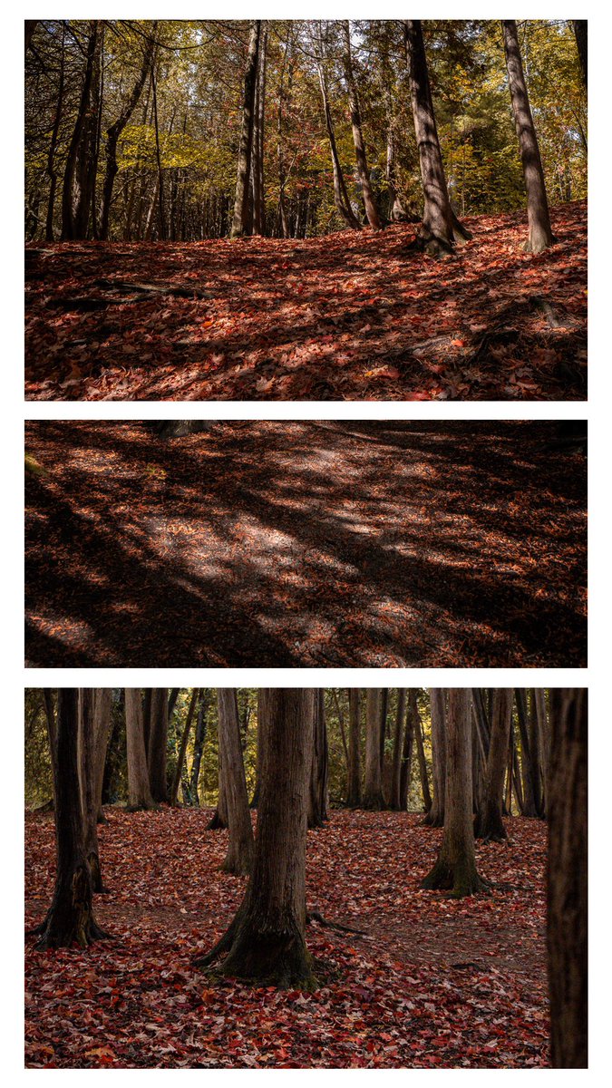 Intotheframes's tweet image. پاییز و رنگ ها