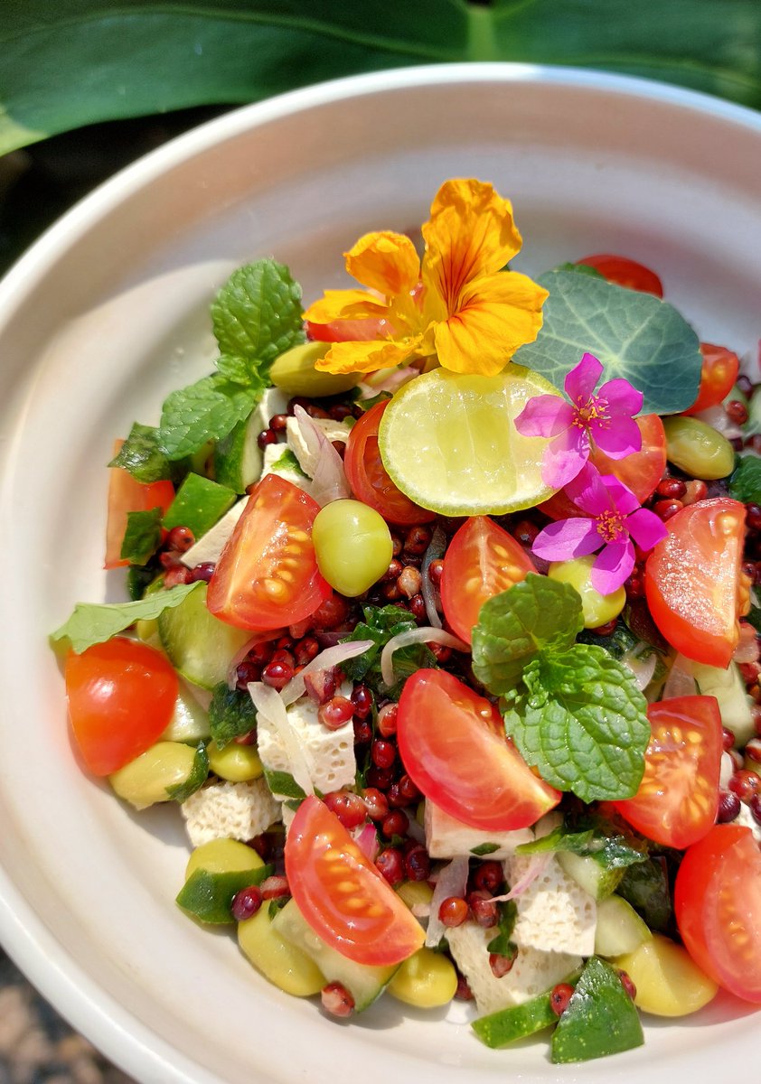 GelarPrakosa's tweet photo. Sorghum salad.

Sorghum . Onion . Lemon juice . Olive oil  .  Brazilian spinach  . Cherry tomato . Mint . Salt . Black pepper . Kombucha vinegar . Tofu . Edamame . Cucumber . https://t.co/durvBBtBlm