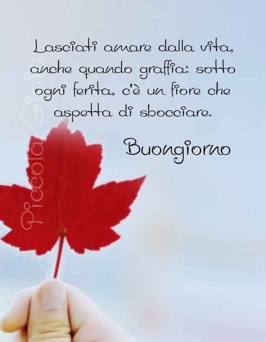 Buongiorno amici, ancora un'oretta e si torna a casa