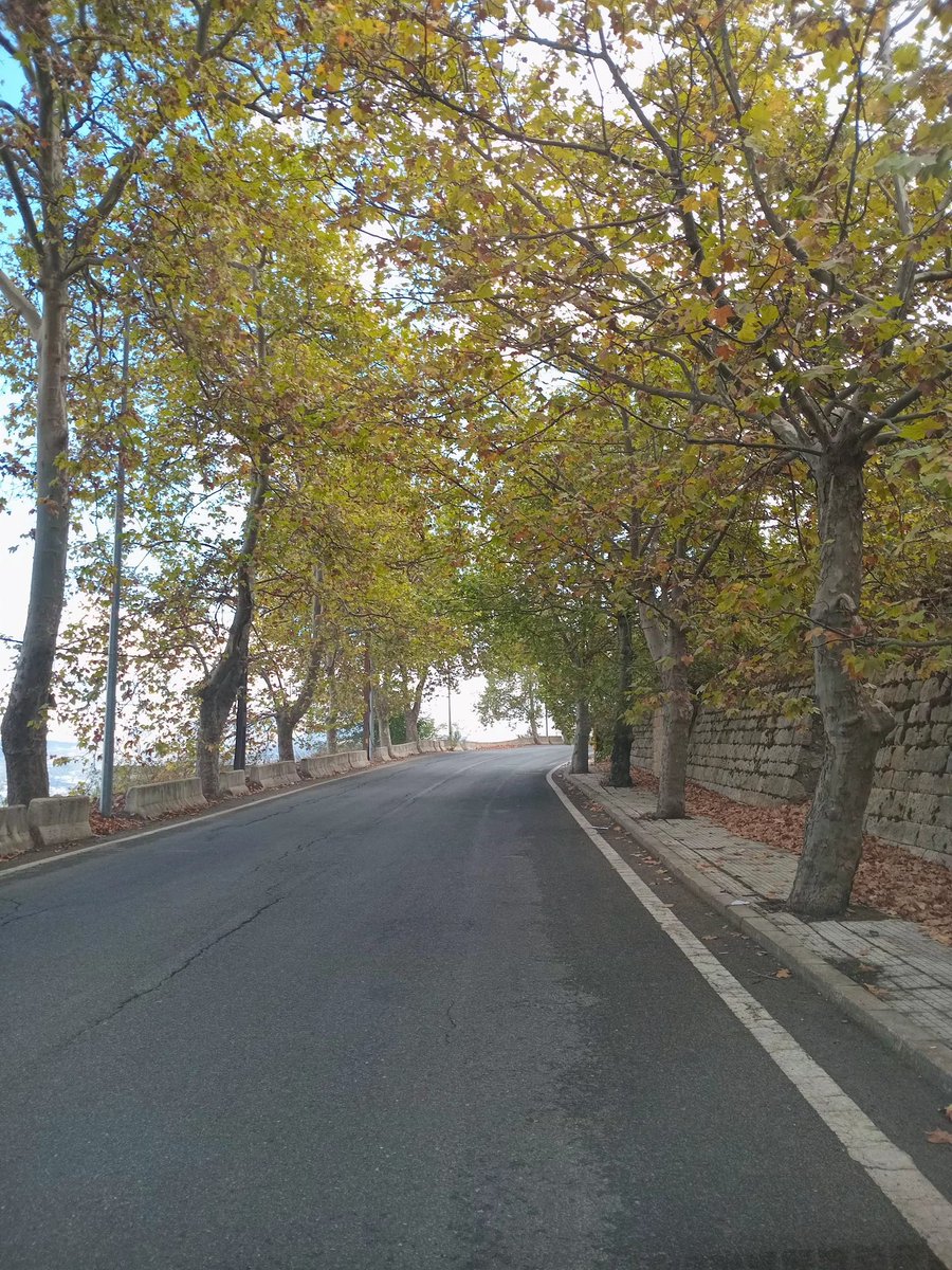 خليك محافظ على رزانة عقلك بالوقت اللي كتروا فيه خفاف العقول ...
#صباحوو