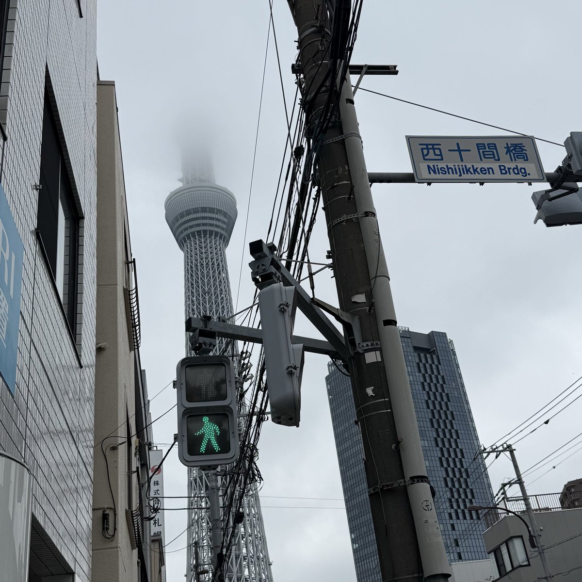 yap_ybringcz's tweet image. 어제 일본 도착 후 밤에 소파에서 낙상사고..

응급실 갈까말까 하다가 육아 응급 상담소에 전화하고 지금 애기 상황 떨어졌울때의 상황 설명하고 괜찮을것 같아하셔서 냉찜질 하라는 말에 안도...

오늘은 어제 뭔일이 있었냐는듯 멍도 갈아앉고 정상적인 하루.

집에 장난감도 없어서 일단 산책삼아…