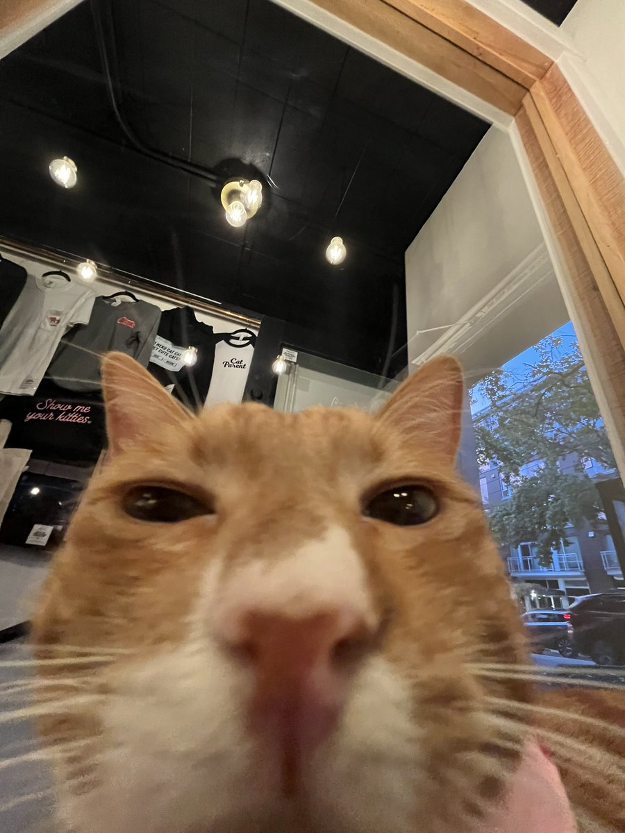 lucy🤍˙⋆✮ tweet media