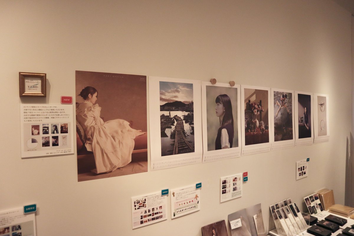 ⭕️オキーフ画集 限567 小学館82年刊　定価2万8千　大判函付 土日限値下】 ⭕️オキーフ画集 限567 小学館82年刊 定価2万8千