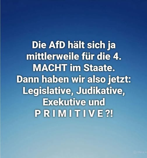 Die AfD, die 4. Macht im Staat🤡