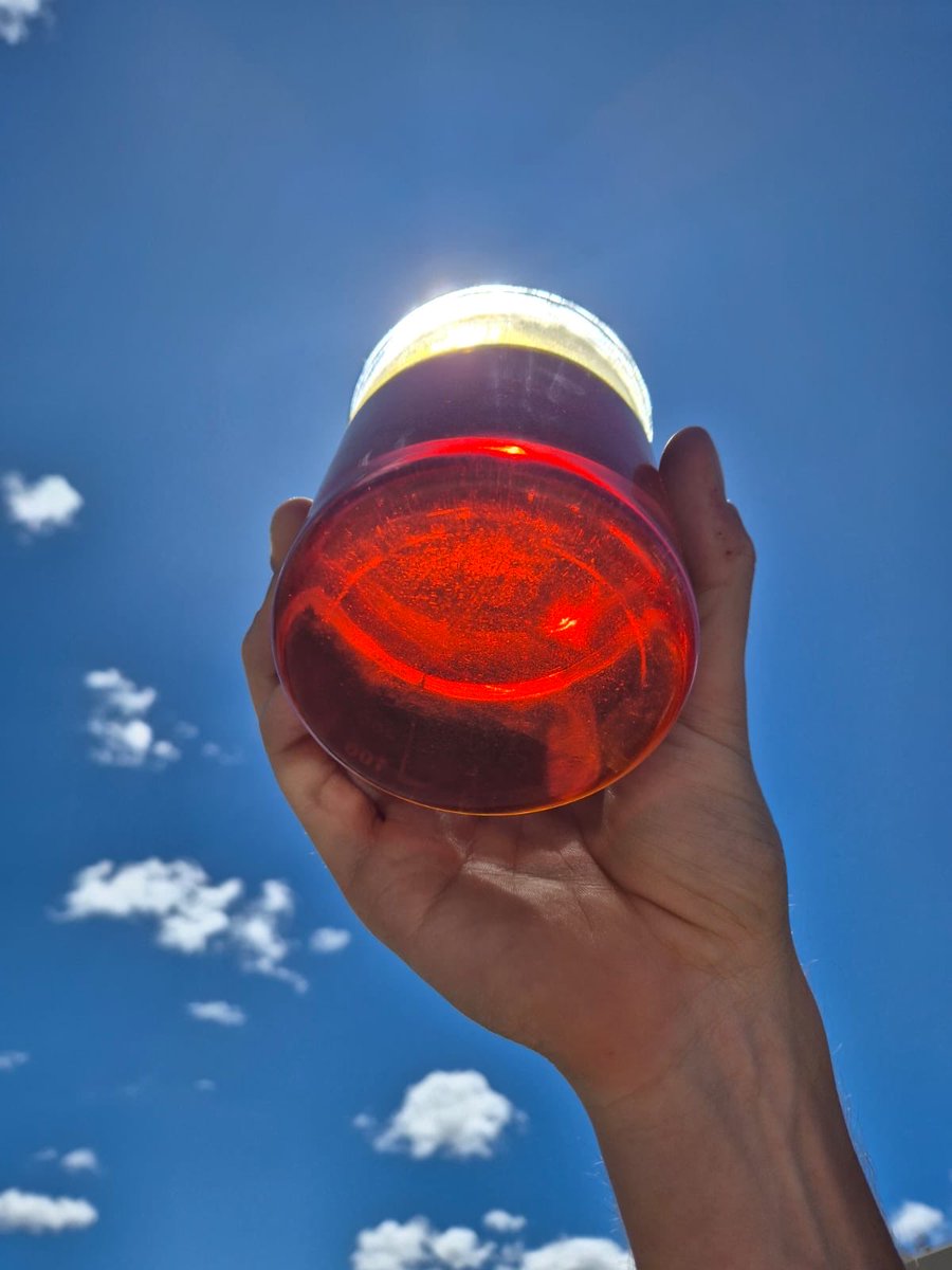 Wide Open Agriculture ASX:WOA tweet media