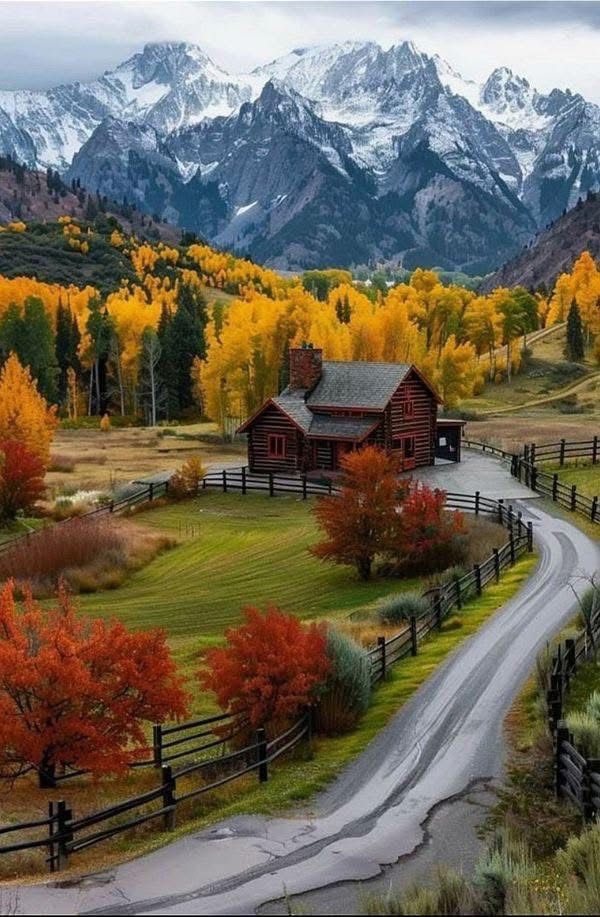 💫🌺🧡  Happy Wednesday  💫🌺🧡