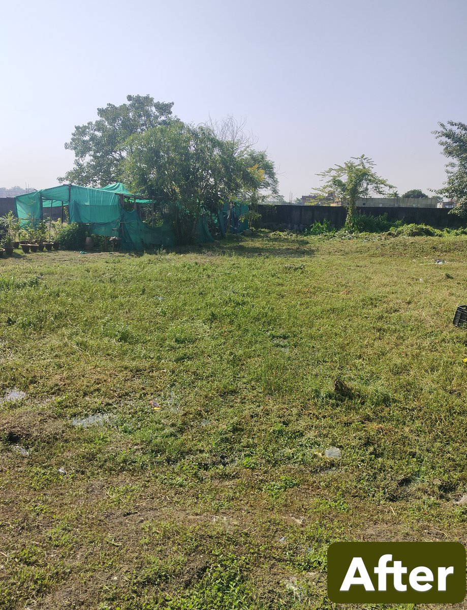 दिनांक 15/10/2025 को Special Campaign 5.0 के तहत 12वीं वाहिनी स.सी.बल किशनगंज मुख्यालय परिसर में साफ-सफाई किया गया |
 #SpecialCampaign5
<a href="/PMOIndia/">PMO India</a>
<a href="/HMOIndia/">गृहमंत्री कार्यालय, HMO India</a>
<a href="/PIBHomeAffairs/">PIB - Ministry of Home Affairs</a>
<a href="/DARPG_GoI/">DARPG 🇮🇳</a>