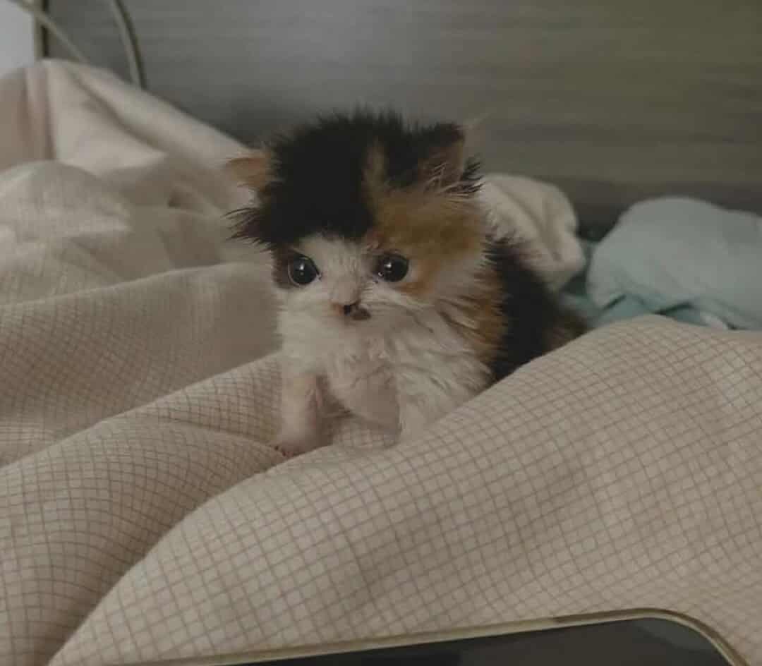 Did you know!? That when I did I said if she had to I would do that thats when I asked her that what if that did and she said, THATS CRAZY!