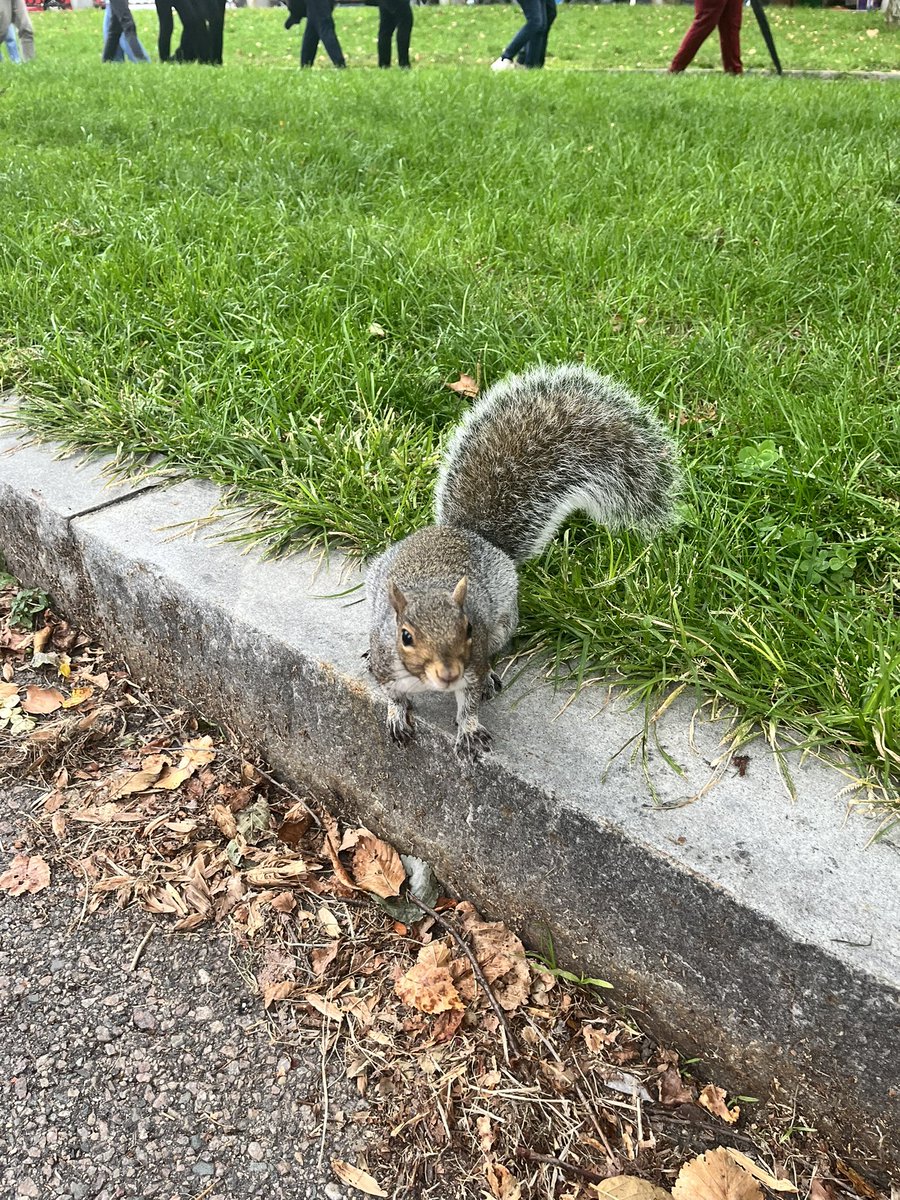 シェリーナ💋 tweet media