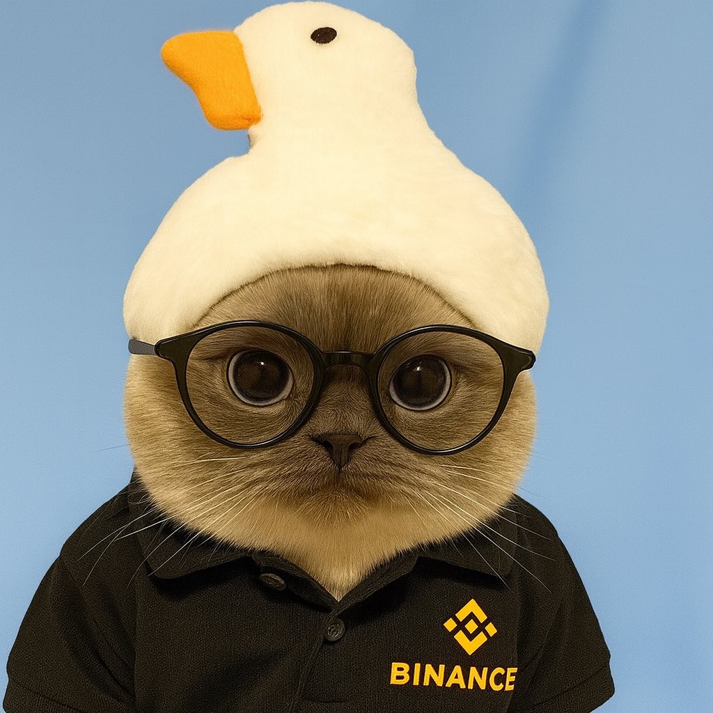 <a href="/crypto_bitlord7/">Crypto Bitlord</a> <a href="/binance/">Binance</a> <a href="/cz_binance/">CZ 🔶 BNB</a> Can’t fud this cat 

0xcea3d09a5a81744ba6c519f169c9a172f62b4444
