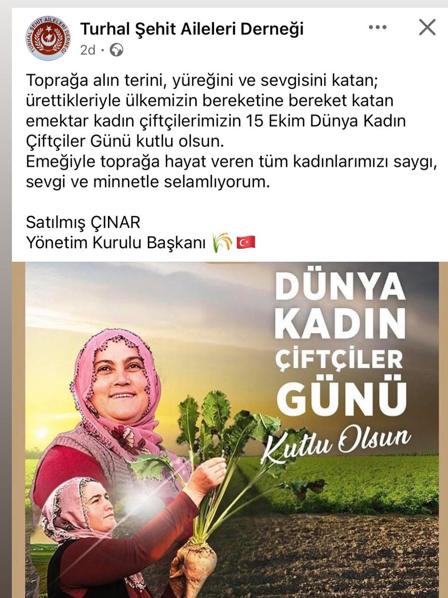 satılmış çınar (@satlmnar2) on Twitter photo 