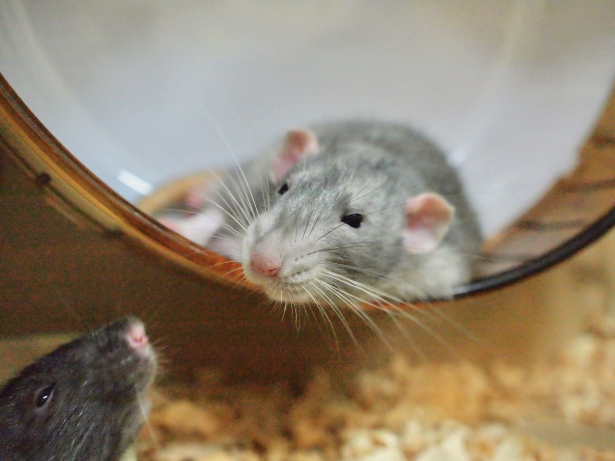 こんなに可愛い指ほかにある？？
寝ぼけた顔も可愛い