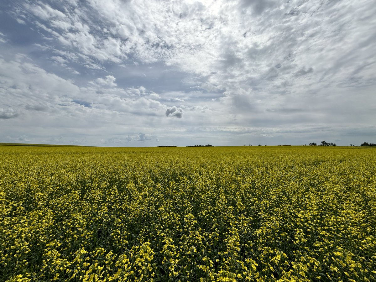 Jeremy Cory tweet media