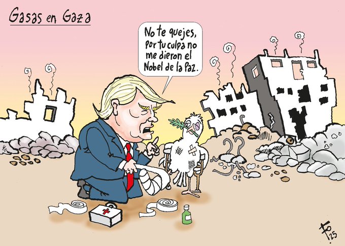 Cartoon illustration shows Donald Trump kneeling in a ruined landscape with smoke and debris, bandaging a small white dove with a bandage on its wing, surrounded by rubble, coins on the ground, a medicine bottle, and bandage roll; text in Spanish reads Gases en Gaza at top and No te quejes, per tu no quieres que muera el Nobel de la Paz below, signed Fo.
